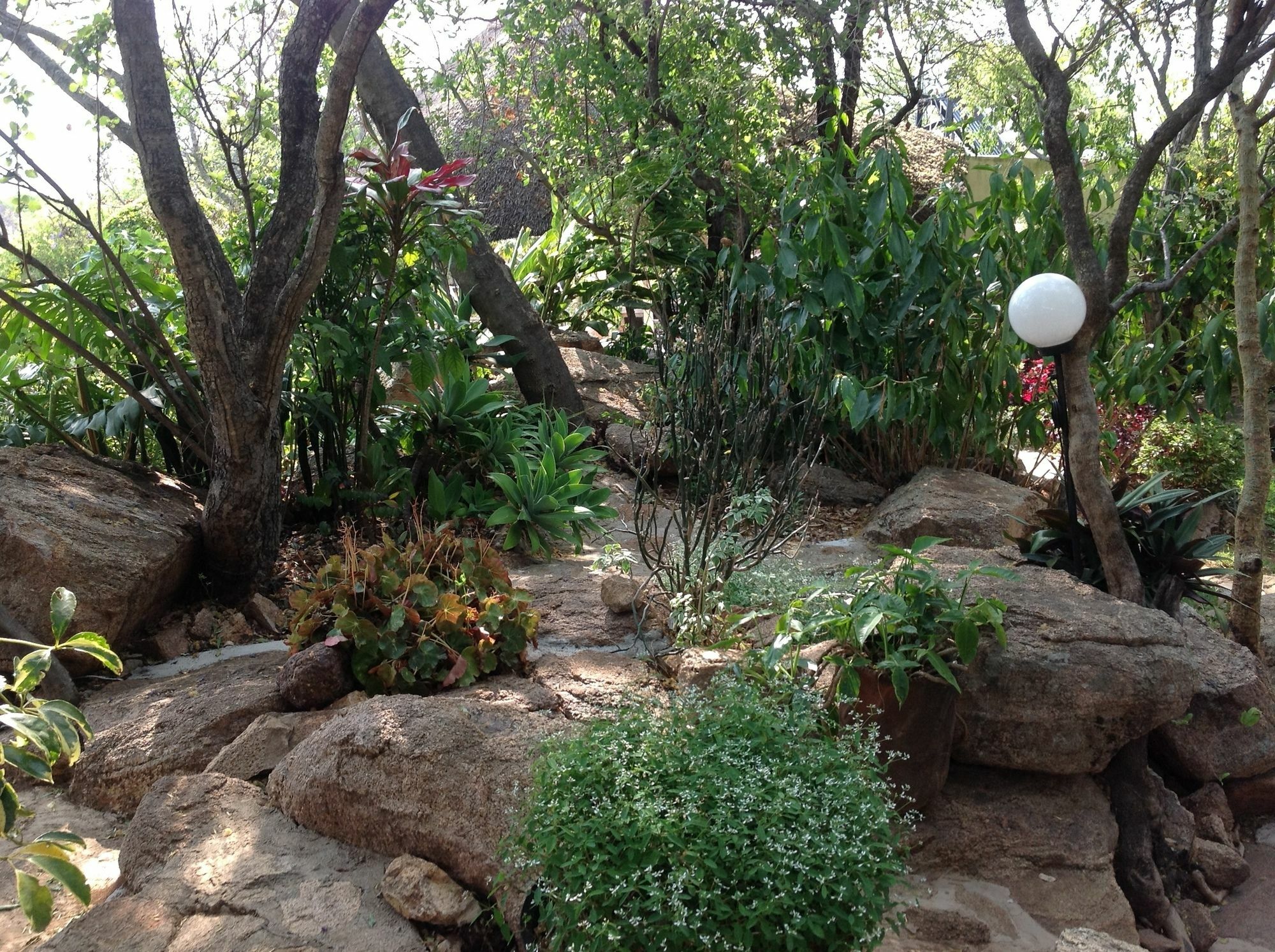 Lynns Guest House บูลาวาโย ภายนอก รูปภาพ